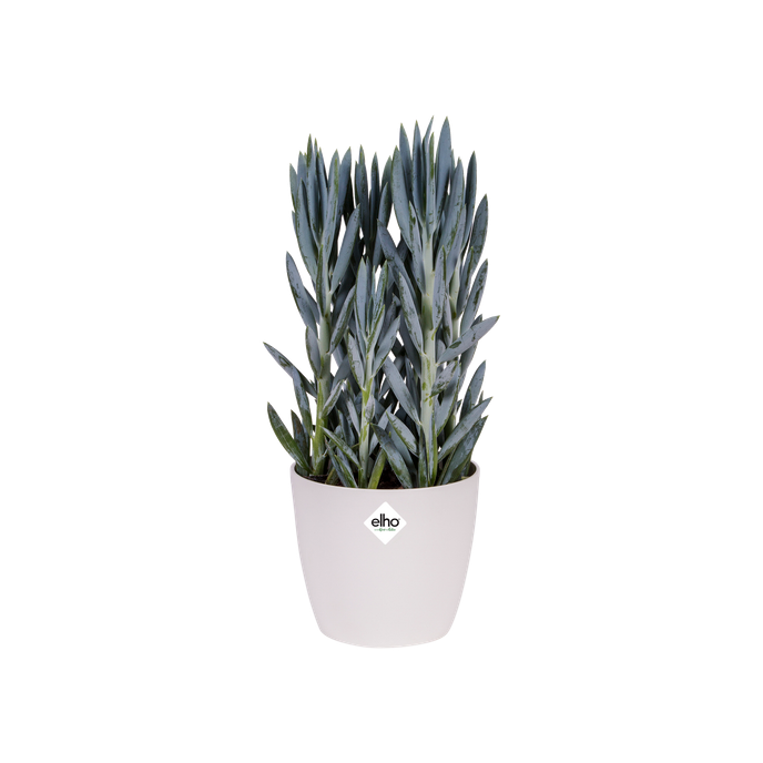 brussels diamond rund 25cm weiss
